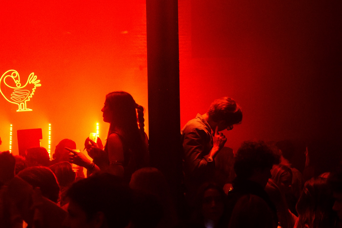 Sankofa Nights